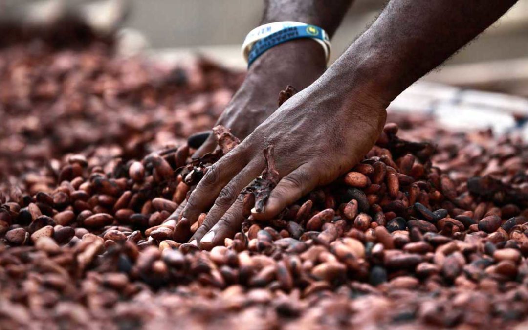 A csokoládéval kapcsolatos kifejezések titkos jelentése 1.