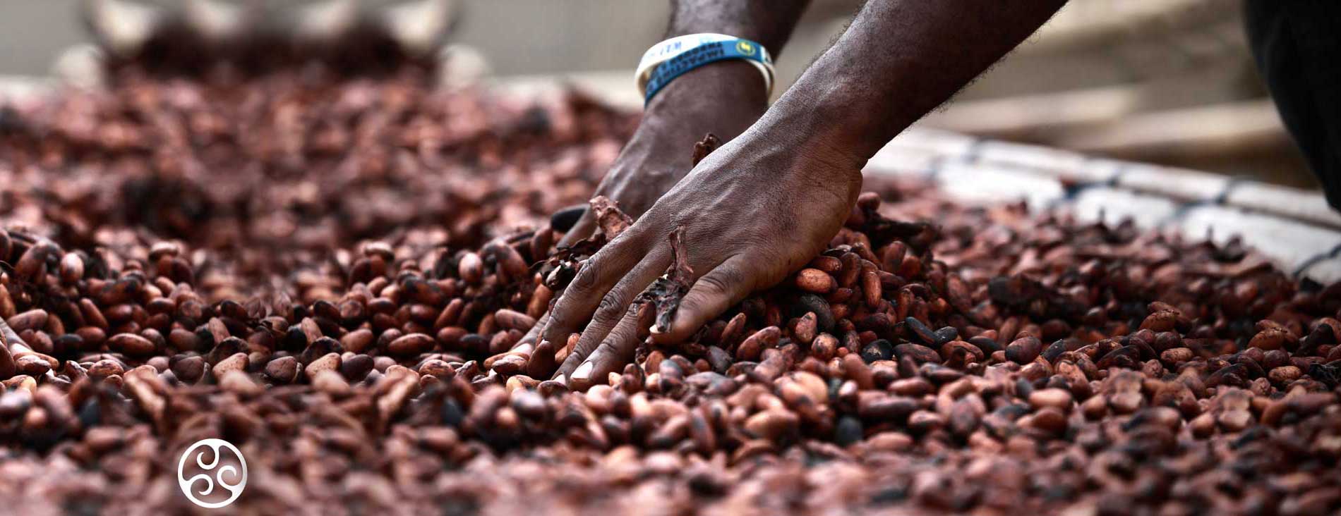 Felelősen a jövőért - DemeterChocolate