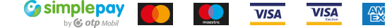 Visa Mastercard Maestro